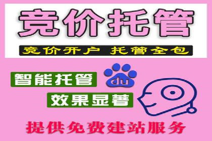 竞价SEM成功案例解析：关键词优化策略